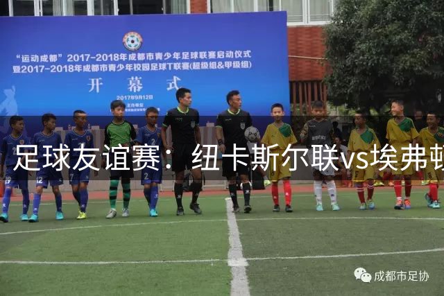 足球友谊赛：纽卡斯尔联vs埃弗顿